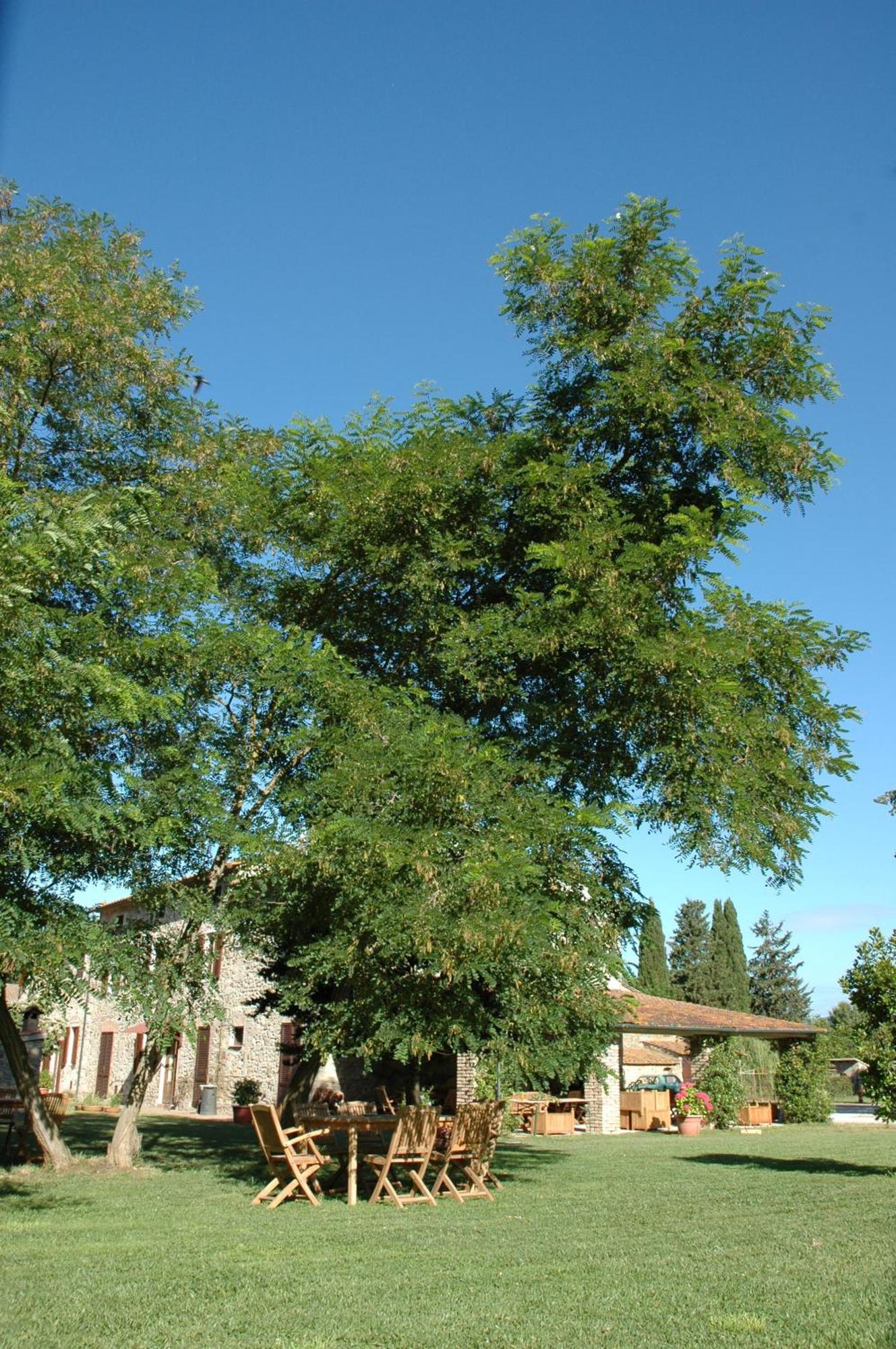 Agriturismo Le Piane Del Milia Suvereto Exterior foto